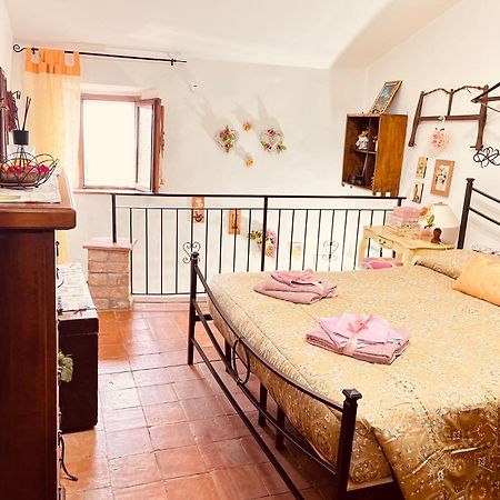 Maison Amiata Montelaterone エクステリア 写真
